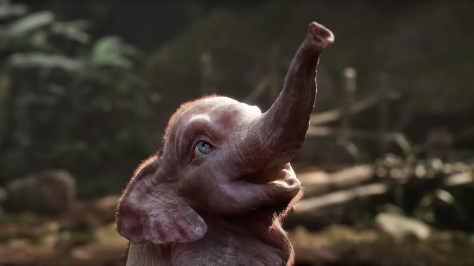 Cute elephant Hanno